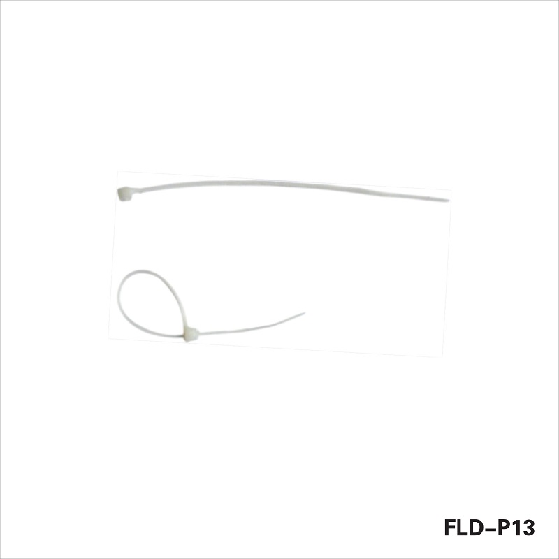 FLD-P13.jpg FLD-P13.jpg