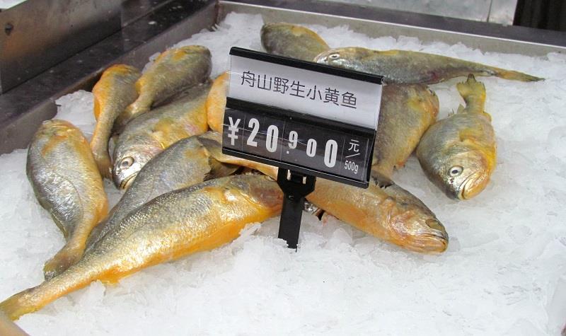 H002展示图（1）.JPG