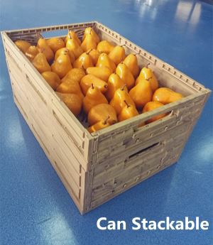Plastic Storage Basket